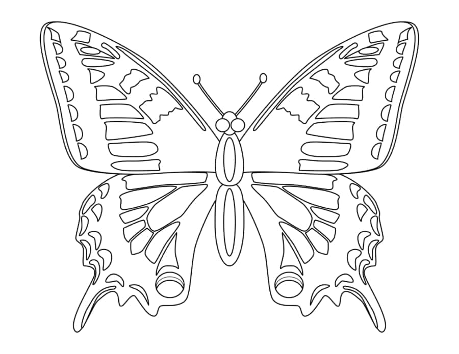 Butterfly Hole Wing Coloring Pages Pdf Free Vectors